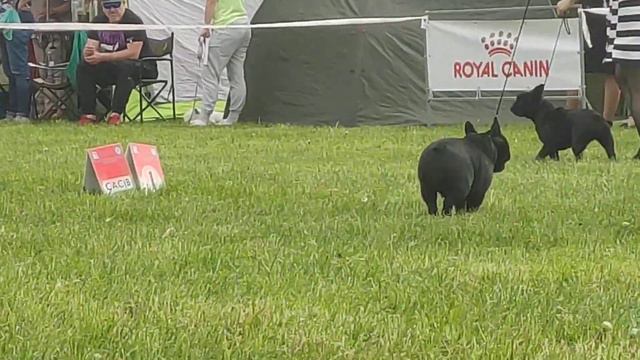 СРАВНЕНИЕ НА ЛС