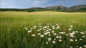 Красивая природа России весной! Наслаждайтесь! #2 | Русский Дух