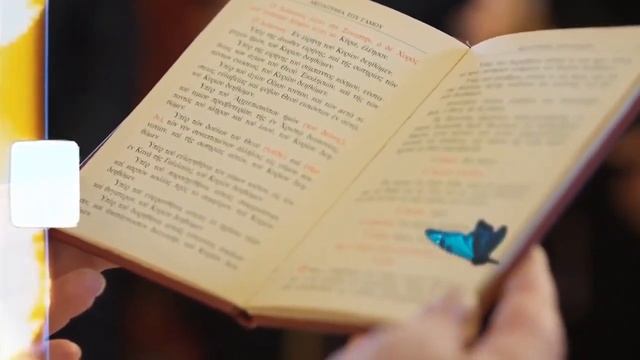 Мы все разные и одинаковы одновременно смотреть онлайн