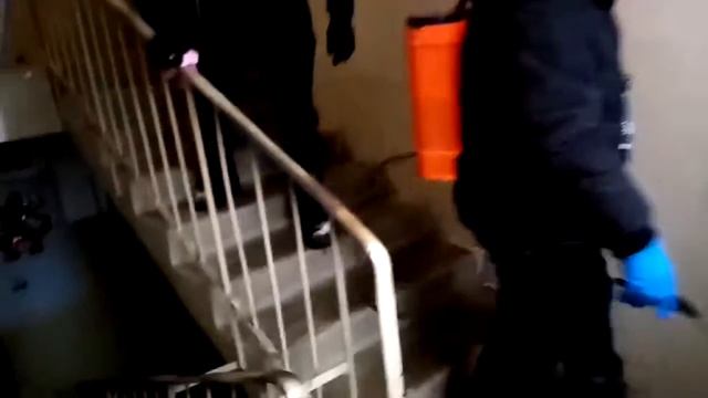 Обработка подъезда на ул. Солдатова, 6 смотреть онлайн