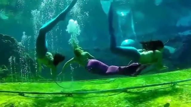 Elle Trouve Une Vraie Sirène Et Voilà Ce Qui Lui Arrive... смотреть онлайн