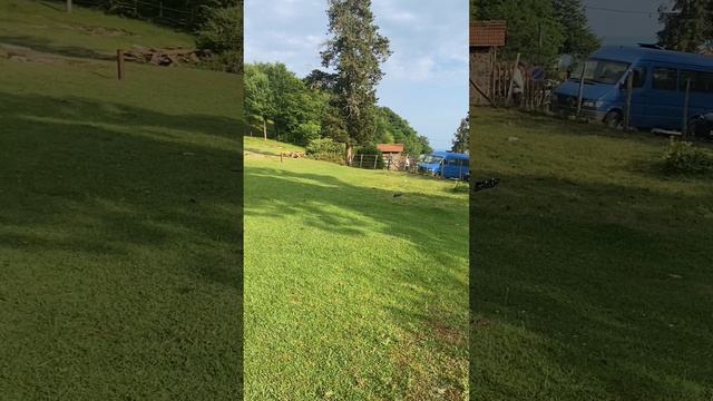 Маленький, но шустрый.... смотреть онлайн