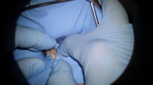 КОФФЕРДАМ ДЛЯ НОВИЧКА ПОЛНАЯ ИНСТРУКЦИЯ