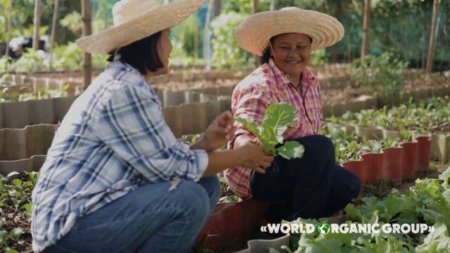 World Organic Group Presents Peatgel+