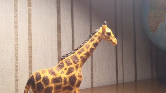 Животные. Интересные факты о жирафах? смотреть онлайн