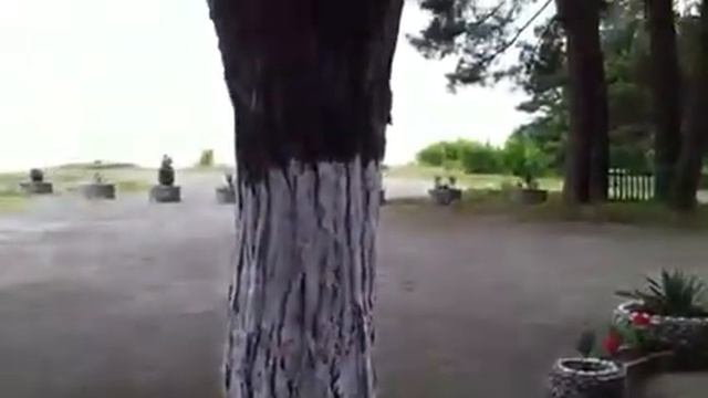 Абхазия смотреть онлайн