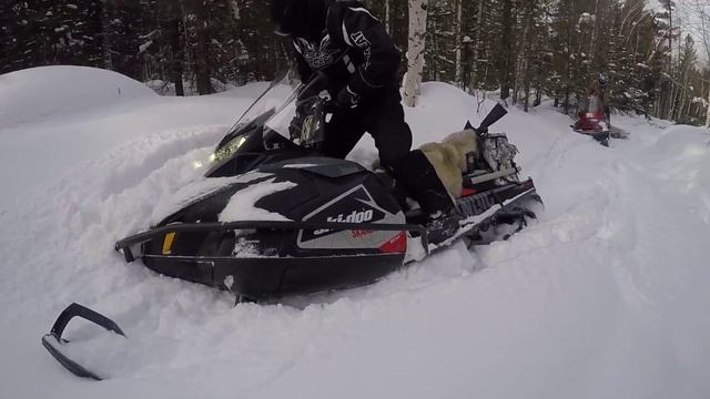 Ski-doo skandic 900 swt 2016 и Ymaha