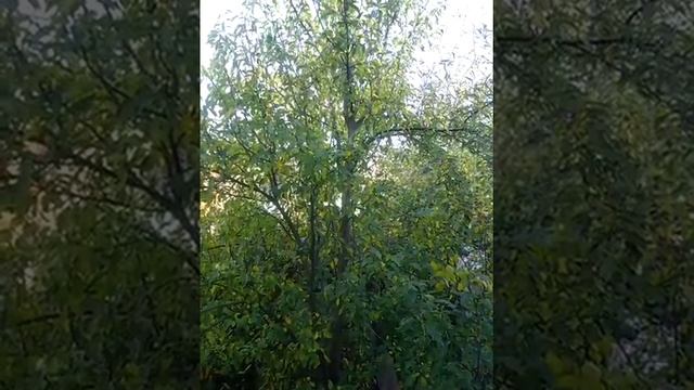 29 октября 2018 г. смотреть онлайн