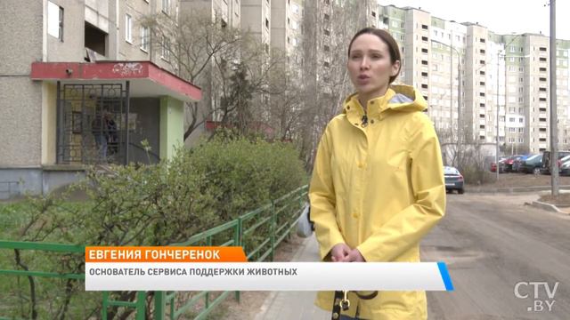 Бесплатная передержка для домашних животных. Репортаж CTV смотреть онлайн