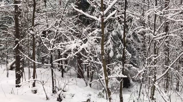 ВМИГ РАЗОБЛАЧИЛ НЕВЕРНУЮ ЖЕНУ ПО ОДЕЖДЕ. Поучительные жизненные истории. Интересные истории из жизн смотреть онлайн