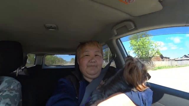 "ЧАЙНИК" МУЖ ЗА РУЛЁМ И ЕГО СТРОГАЯ ЖЕНА / НЕ ДЛЯ СЛАБОНЕРВНЫХ / VLOG смотреть онлайн