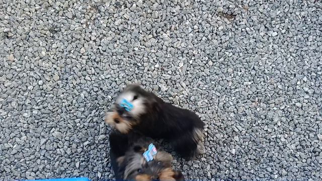 1000127368.mp4 смотреть онлайн