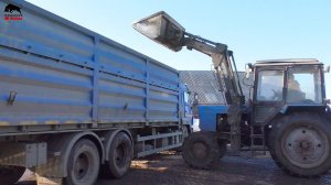 Зерновозы автопоезда КамАЗ  приехали за пшеницей!