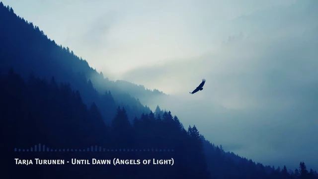 Tarja Turunen - Until Dawn ( Angels Of Light ) Intro смотреть онлайн