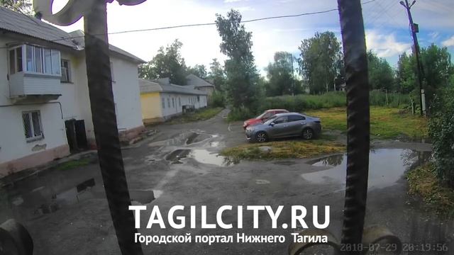 «Магнит» выбрасывает просрок в мусорные баки во дворе дома в Нижнем Тагиле