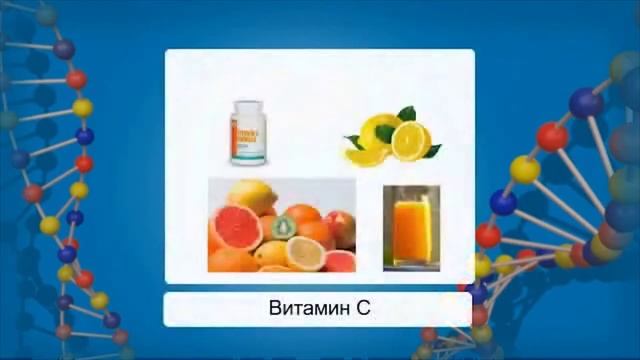 Строение и функции АТФ. Видеоурок по биологии 10 класс смотреть онлайн
