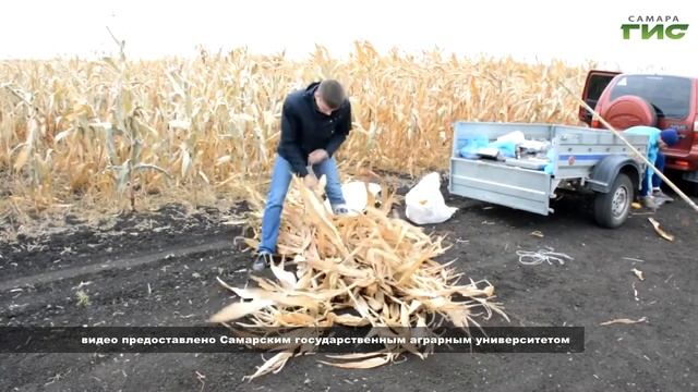 Как у профессора из старейшего вуза региона появилась любовь к науке смотреть онлайн