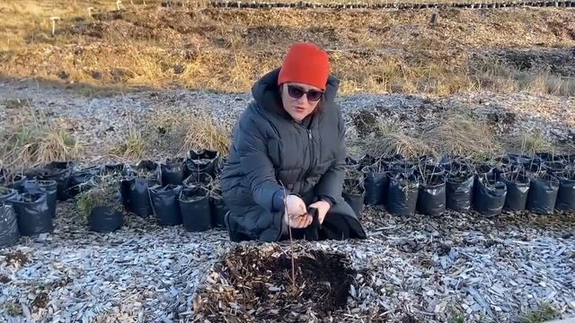 В гостях у Юрия Фролова смотреть онлайн