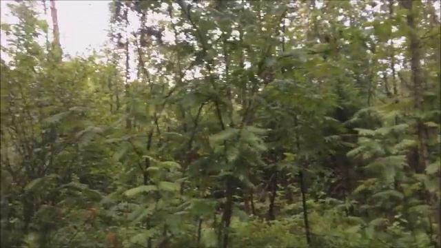 ПОСЛЕ ДОЖДЯ ЗЕМЛЯНИКА ХОРОША смотреть онлайн