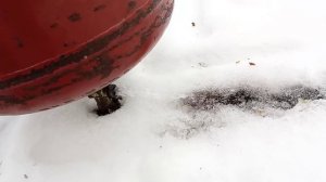 Как подготовить газовый баллон к заправке