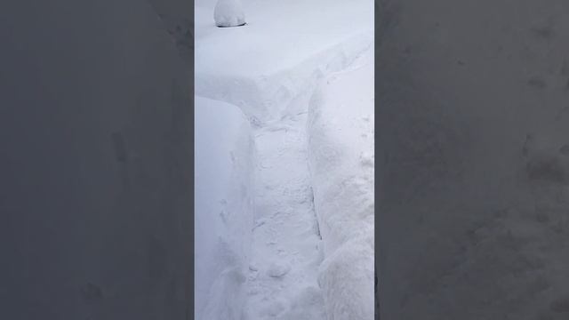 замело.....что делать....куда бежать смотреть онлайн