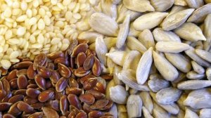 Семечки польза и вред Подсолнечные тыквенные льняные и семечки кунжута свойства и лечение