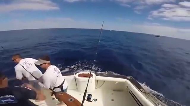 Чуть не убил. Гигантский Марлин чуть не проткнул рыбака 07.01.16 смотреть онлайн