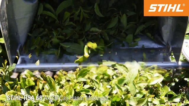 STIHL HSA 66 Çay Hasat Makinesi смотреть онлайн