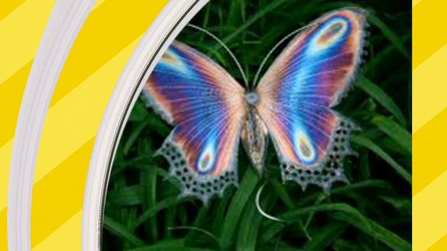 бабочки и цветы смотреть онлайн