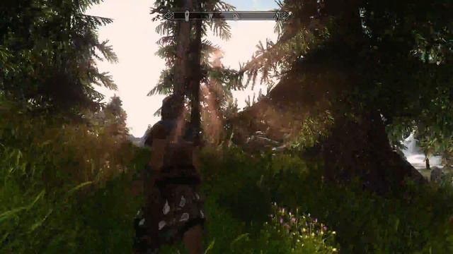 RealVision Performance ENB +Other Mods смотреть онлайн