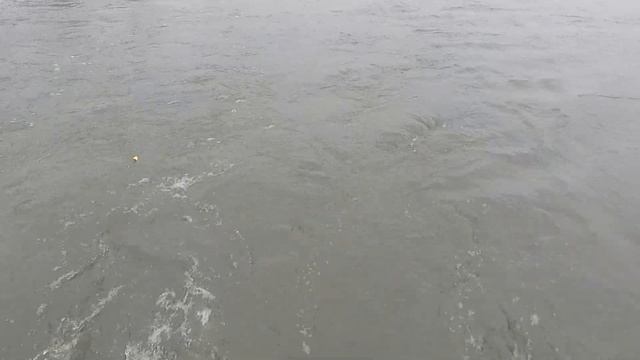 ОСЕННЯЯ РЫБАЛКА НА ХАРИУСА, ВЫРВАЛИСЬ И НЕ ПРОГАДАЛИ, КЛЕВ ОТЛИЧНЫЙ, ЛОВИМ НА УДОЧКУ С ПОПЛАВКОМ смотреть онлайн