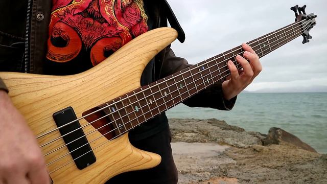 Pyretta Blaze - Type O Negative (Bass Cover) смотреть онлайн
