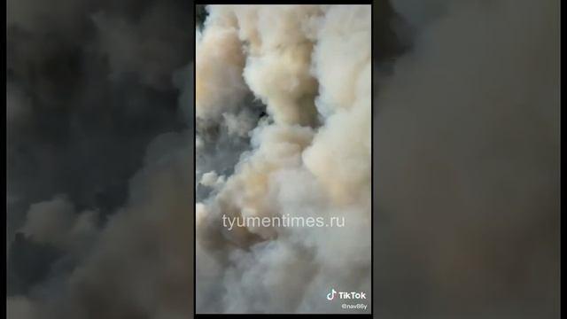 Пожар в тюменских лесах с борта пожарного вертолета МИ-26 смотреть онлайн