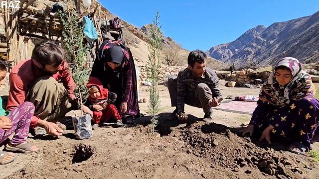 Seeds of Legacy: A Nomadic Family's Tree-Planting Endeavor" смотреть онлайн