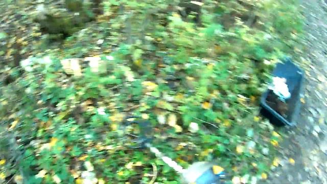 Осенний выезд на металлокоп смотреть онлайн