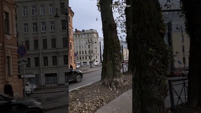 Дом Блока и интуиция Паустовского смотреть онлайн