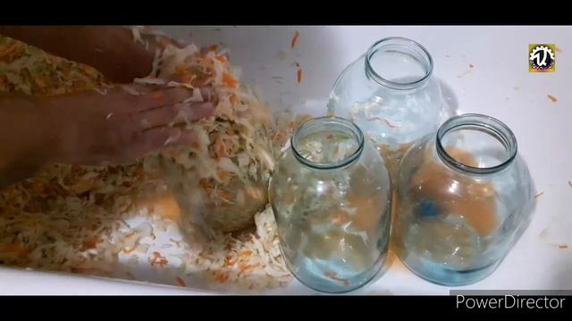 Солим капусту.Дела домашние.Первый день дома.#алекс_юстасу #деладомашние  #солимкапусту #засолка