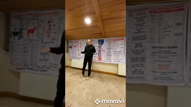 Сюцай. Бизнес-интеллект, вторая ступень цифровой науки.mp4 смотреть онлайн