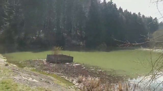 Озеро в Карпатах. Рыбалка на озере. Очень много карася. Очень много рыбы. Очень красивие горы. #Лес смотреть онлайн