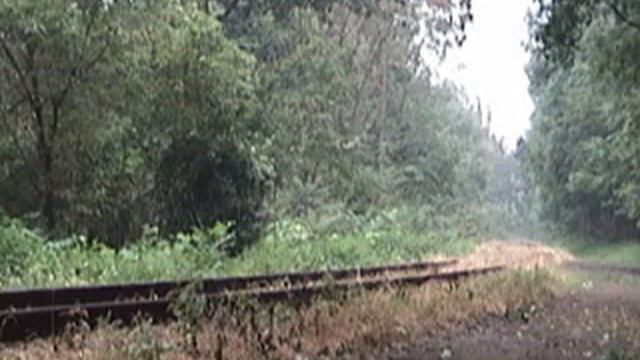 Delaware River Railroad - Railfan Weekend 2006 смотреть онлайн