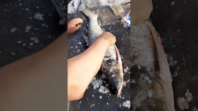 Муж приехал с рыбалки//Поймал рыбку//Толсталобика//Красавец смотреть онлайн