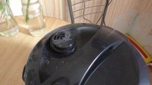 Пельмени в мультиварке REDMOND RMK-M271. Правдивое видео!