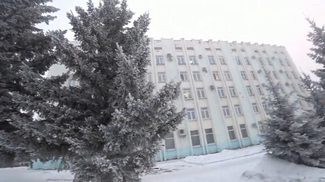 Деревья сегодня покрытые инеем как в сказке стоят. смотреть онлайн