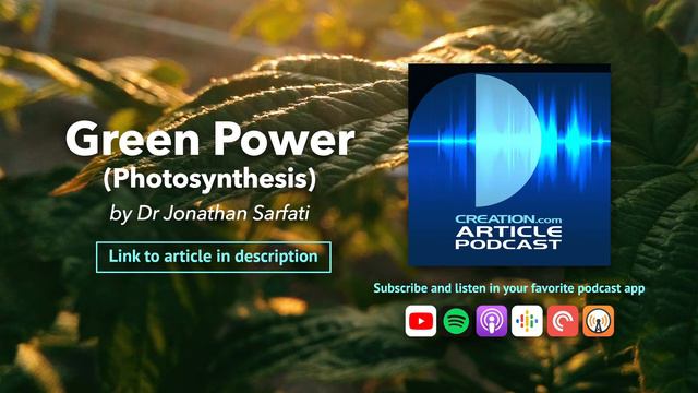 Green Power: Photosynthesis (Article Podcast) смотреть онлайн