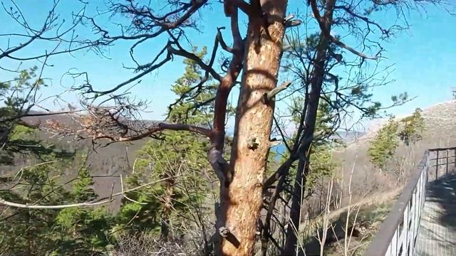 Гора Стрельная. Жигулевский заповедник. Самарская лука смотреть онлайн