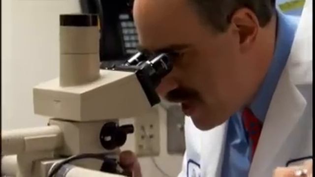 NOVA scienceNOW : 3 - Stem cells : Early research (2005) смотреть онлайн