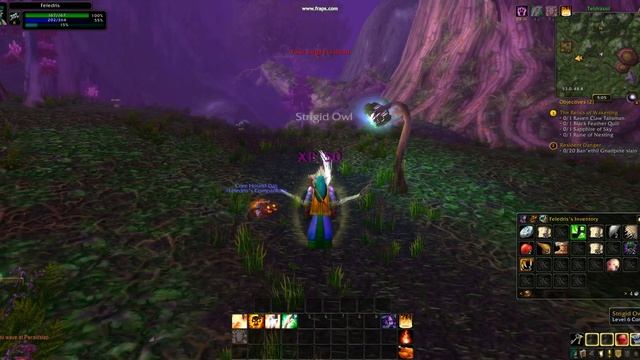 World of Warcraft - Addon Update (Night Elf Priest) смотреть онлайн