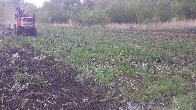 Культивируем землю перед посадкой тыквы.? смотреть онлайн