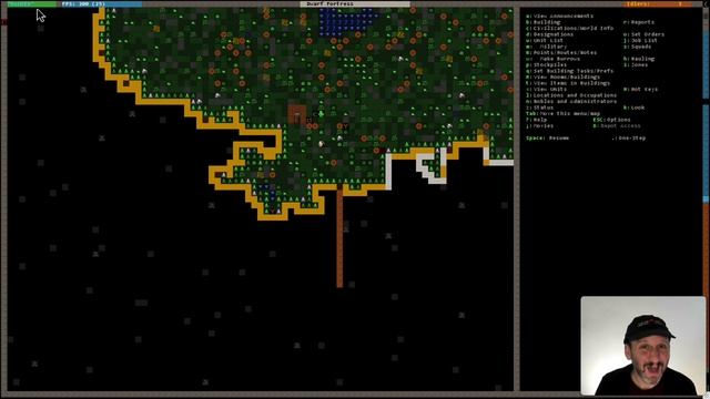 Getting Started With the Game Dwarf Fortress On Your Mac смотреть онлайн