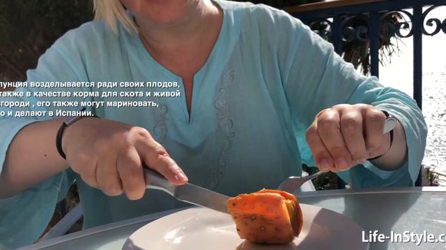 Как чистить и есть плод кактуса Опунции смотреть онлайн